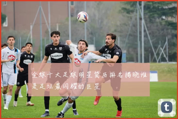 全球十大足球明星简历排名揭晓谁是足坛最闪耀的巨星