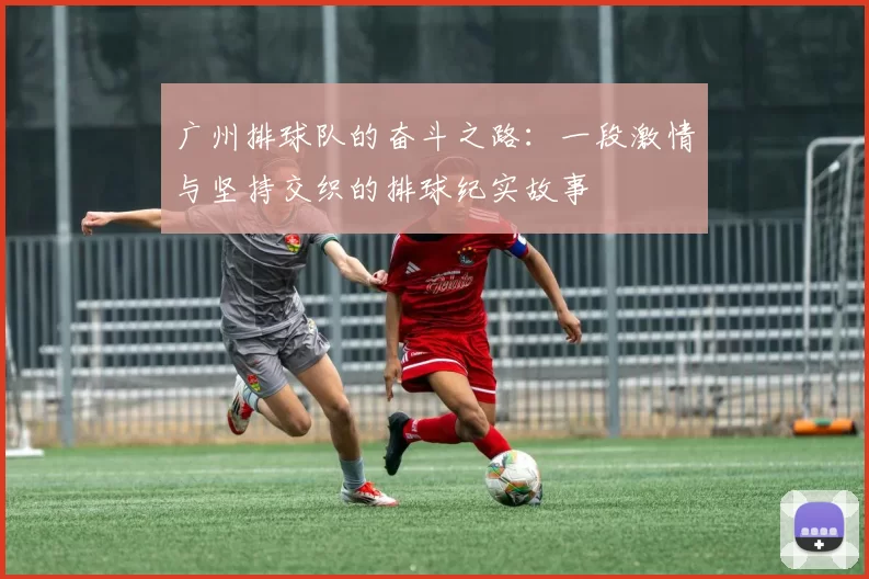 广州排球队的奋斗之路：一段激情与坚持交织的排球纪实故事