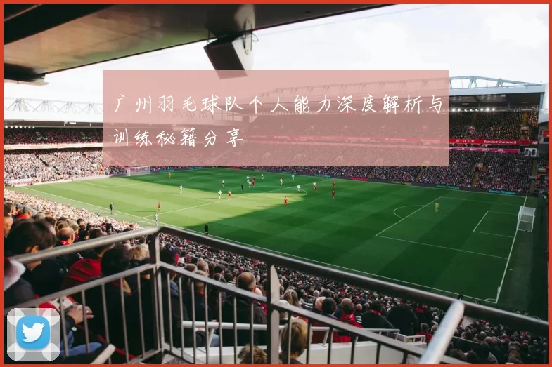 广州羽毛球队个人能力深度解析与训练秘籍分享
