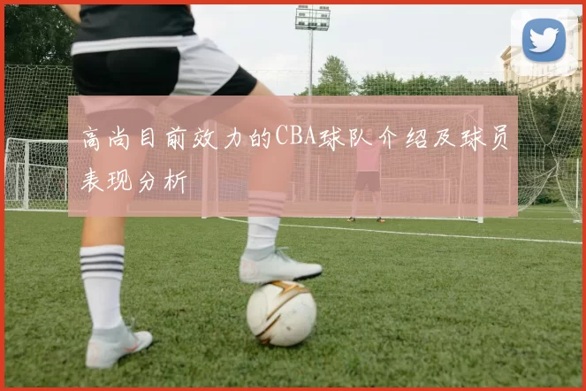 高尚目前效力的CBA球队介绍及球员表现分析