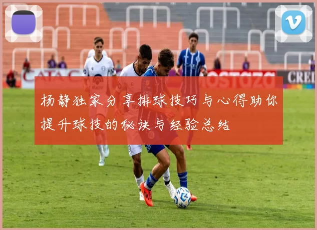 杨静独家分享排球技巧与心得助你提升球技的秘诀与经验总结