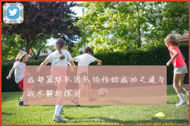 成都篮球队团队协作的成功之道与战术解析探讨