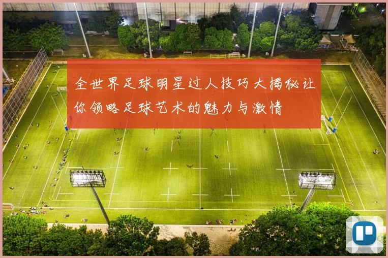 全世界足球明星过人技巧大揭秘让你领略足球艺术的魅力与激情