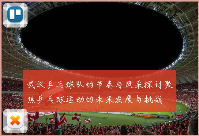 武汉乒乓球队的节奏与风采探讨聚焦乒乓球运动的未来发展与挑战