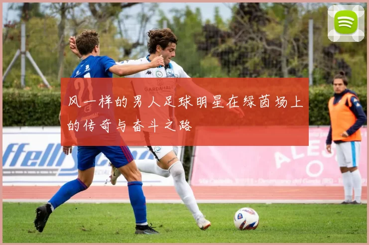 风一样的男人足球明星在绿茵场上的传奇与奋斗之路