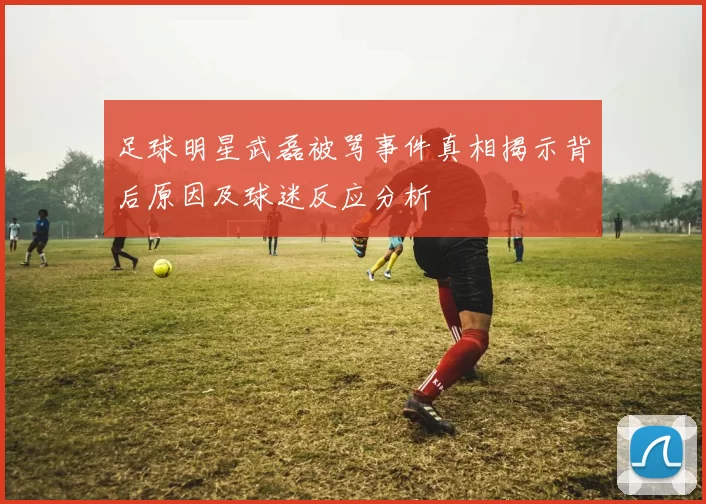 足球明星武磊被骂事件真相揭示背后原因及球迷反应分析