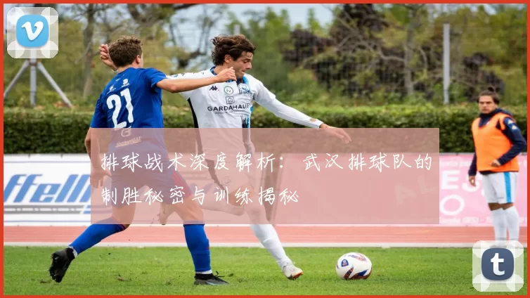 排球战术深度解析：武汉排球队的制胜秘密与训练揭秘