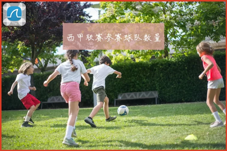 西甲联赛参赛球队数量