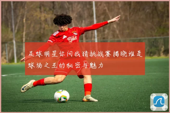 足球明星你问我猜挑战赛揭晓谁是球场之王的秘密与魅力