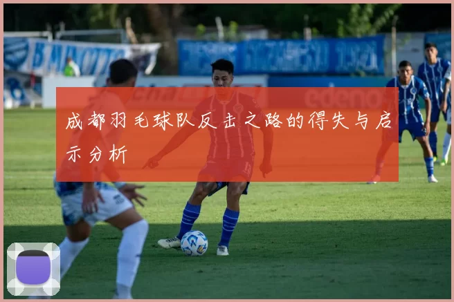 成都羽毛球队反击之路的得失与启示分析