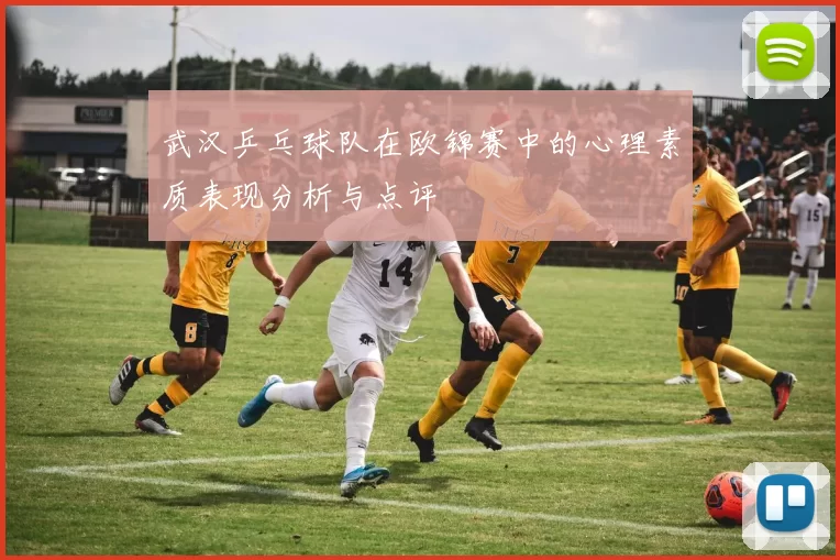 武汉乒乓球队在欧锦赛中的心理素质表现分析与点评
