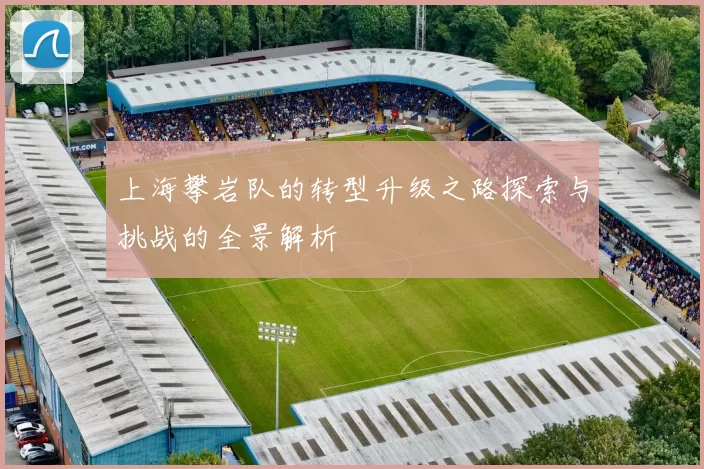 上海攀岩队的转型升级之路探索与挑战的全景解析