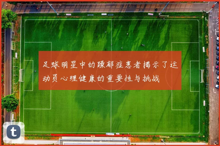 足球明星中的躁郁症患者揭示了运动员心理健康的重要性与挑战