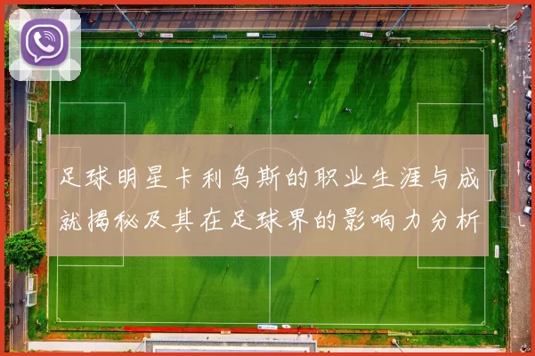 足球明星卡利乌斯的职业生涯与成就揭秘及其在足球界的影响力分析