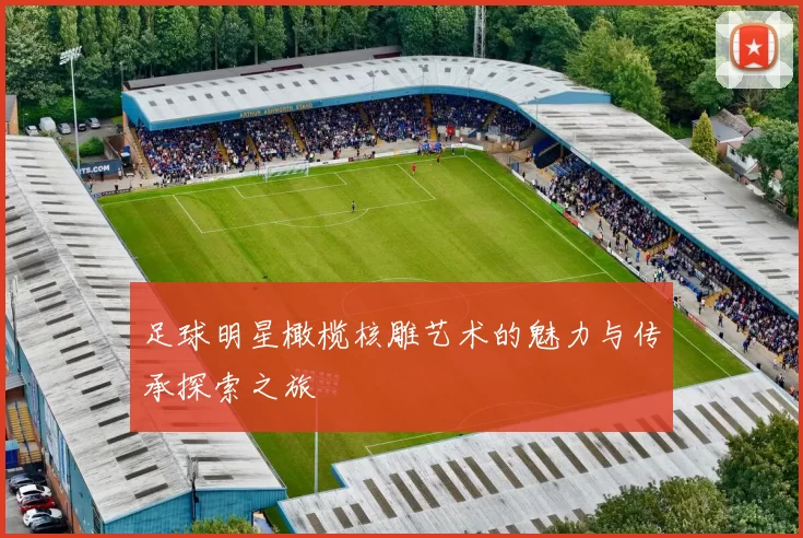 足球明星橄榄核雕艺术的魅力与传承探索之旅