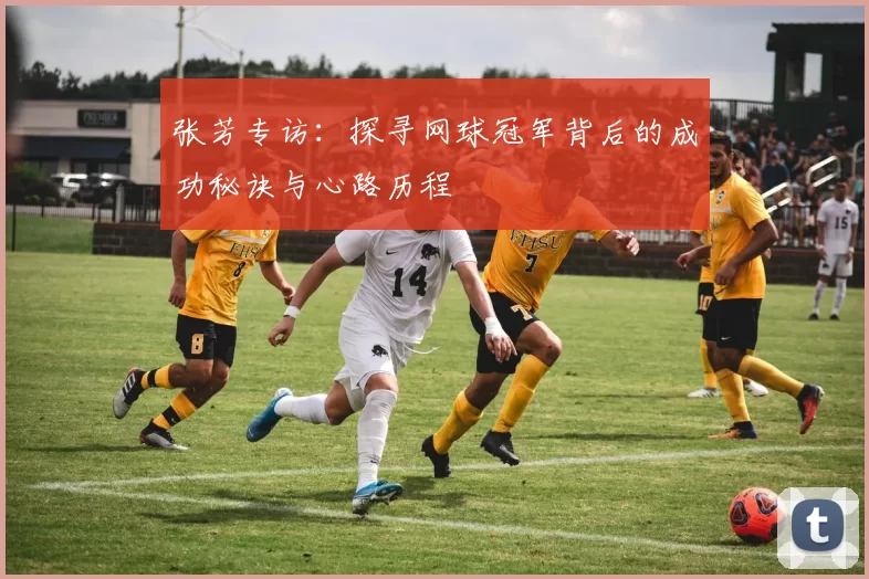 张芳专访：探寻网球冠军背后的成功秘诀与心路历程