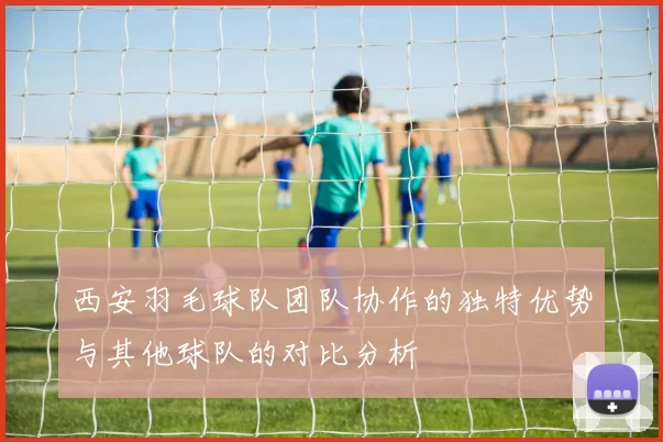 西安羽毛球队团队协作的独特优势与其他球队的对比分析