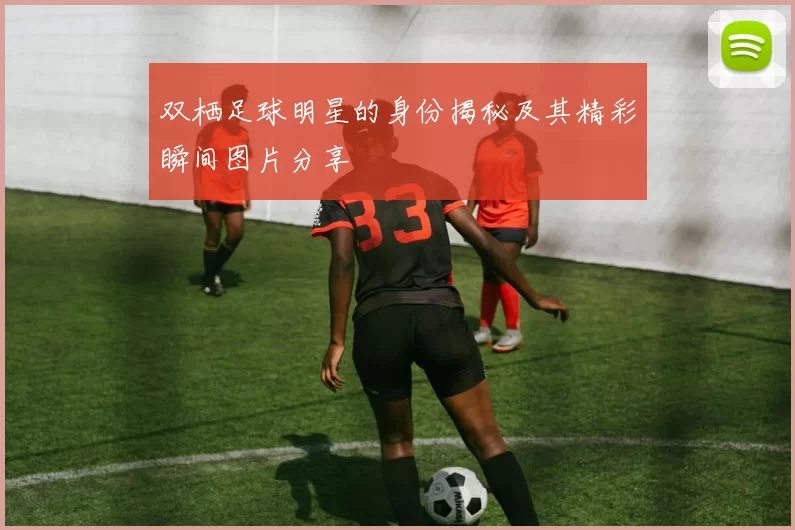 双栖足球明星的身份揭秘及其精彩瞬间图片分享