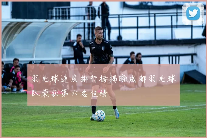 羽毛球速度排行榜揭晓成都羽毛球队荣获第六名佳绩