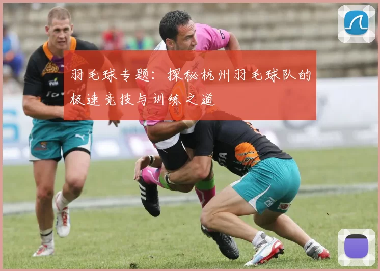 羽毛球专题：探秘杭州羽毛球队的极速竞技与训练之道