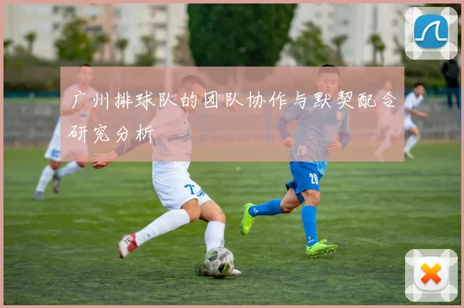广州排球队的团队协作与默契配合研究分析