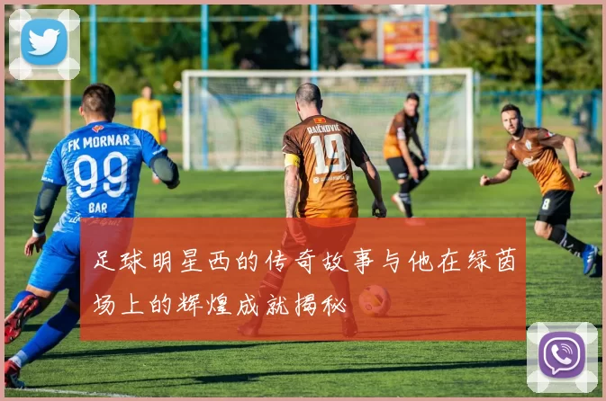 足球明星西的传奇故事与他在绿茵场上的辉煌成就揭秘